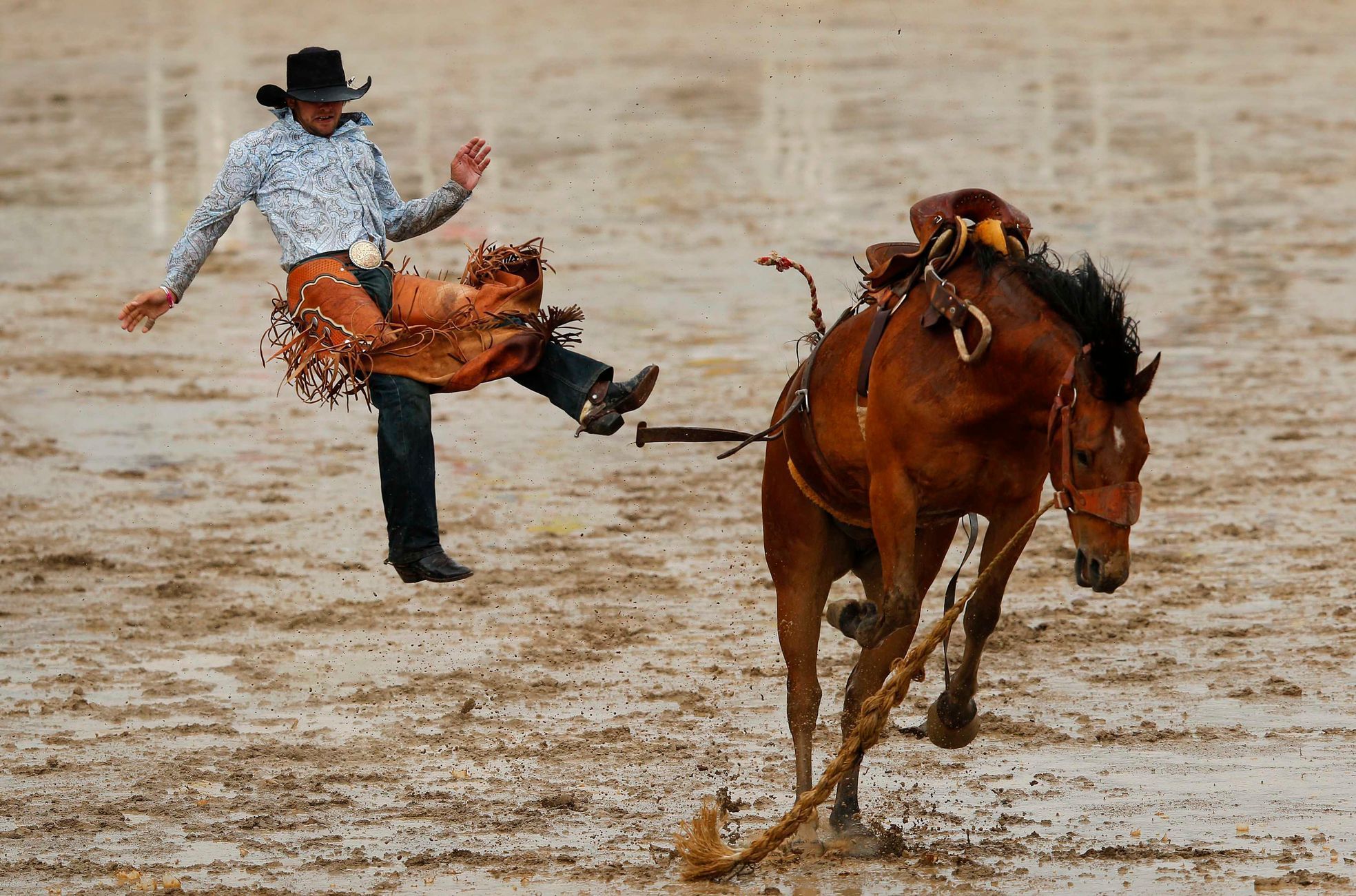 Ride Him Cowgirl