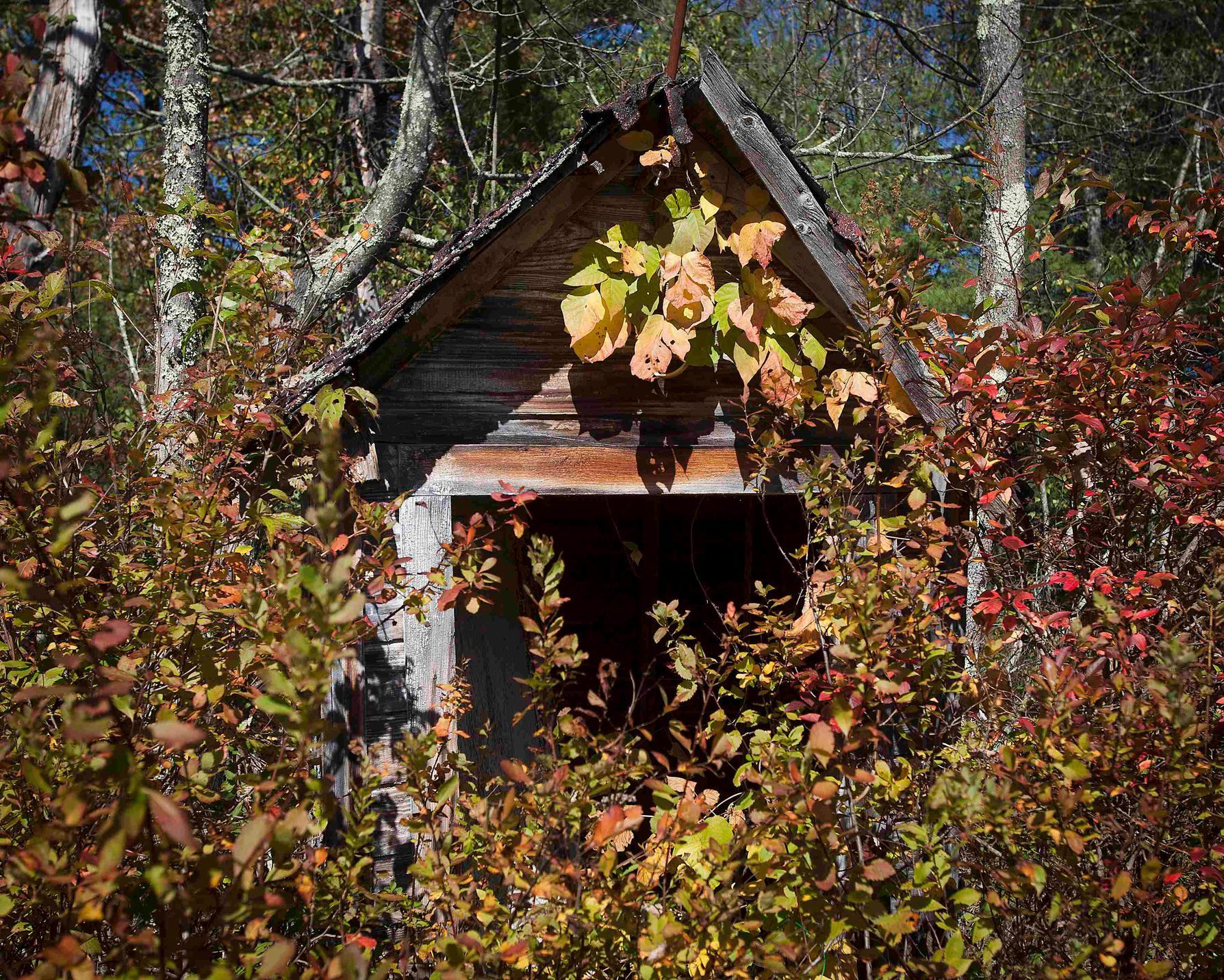 Vybydlená oblast Catskills nedaleko New Yorku