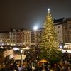 Vánoční strom, Česko, Vánoce, Domácí