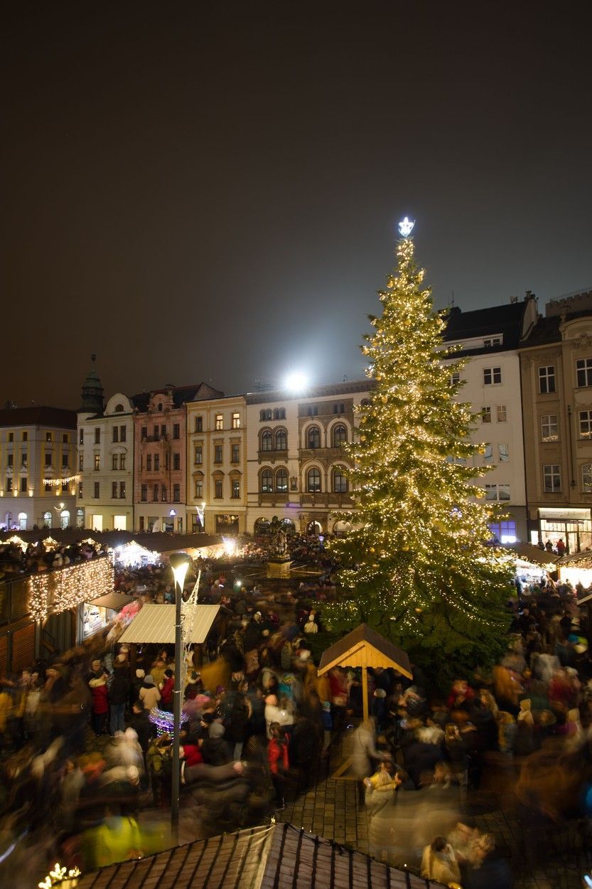Vánoční strom, Česko, Vánoce, Domácí