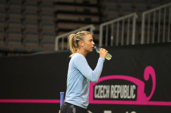 Maria Šarapovová před finále Fed Cupu 2015