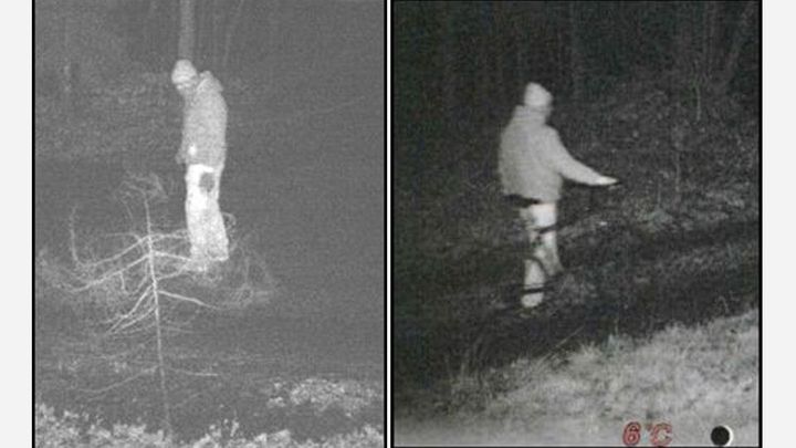 Řidiče v pohraničí ohrožuje záhadný "vrhač větví", němečtí policisté žádají o pomoc
