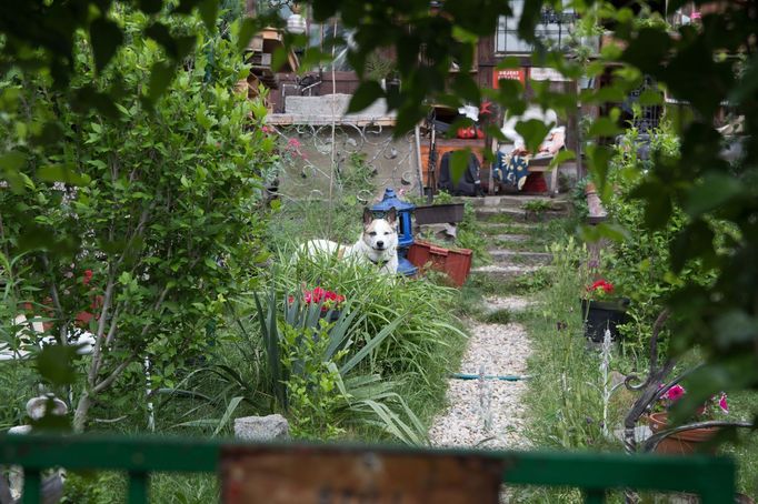 Zahrádkářská osada Ořechovka slaví 87. narozeniny. Ve dvou lokalitách má celkem 158 zahrádek, o které se stará 161 členů.