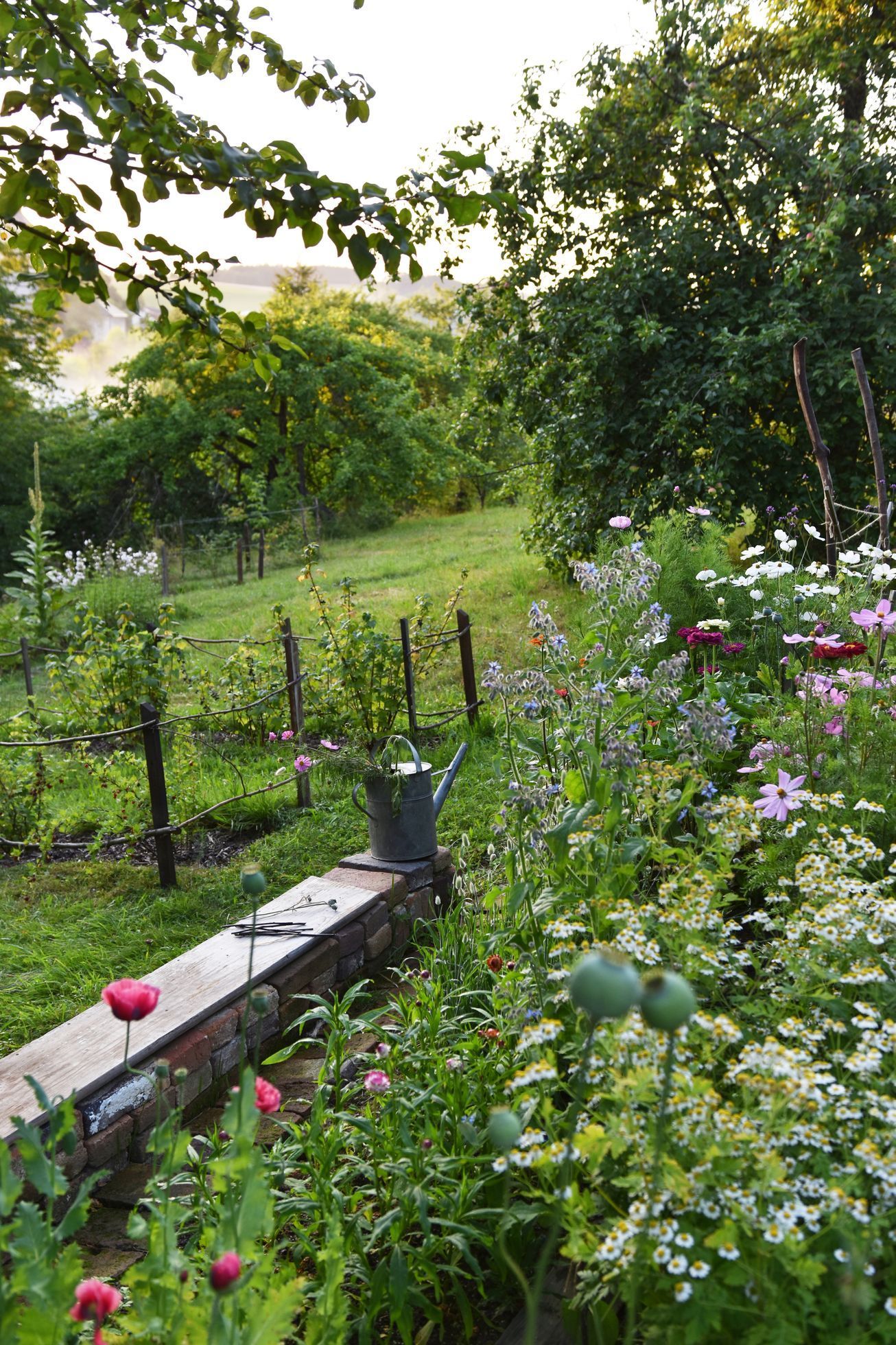 domeček na kopci, dům, rekonstrukce, zahrada, příběh
