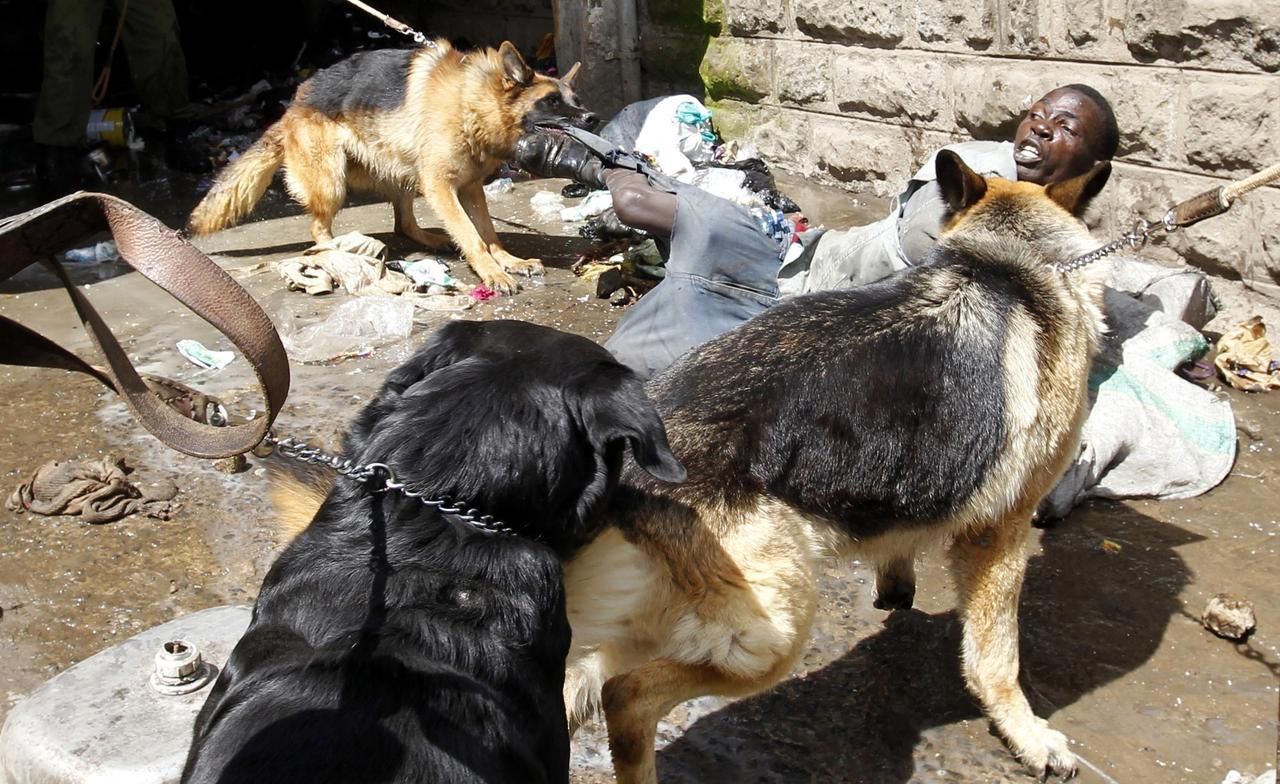 Ročenka / Fotky roku 2012 / Reuters