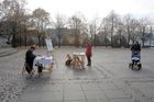 Analytické centrum Glopolis tu pořádá narozeninový happening ku příležitosti ročního výročí propuknutí aféry LuxLeaks.