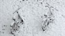 Snow covered bicycles are seen in Germering, near Munich October 28, 2012. REUTERS/Michaela Rehle (GERMANY - Tags: ENVIRONMENT SOCIETY TRANSPORT) Published: Říj. 28, 2012, 9:22 dop.