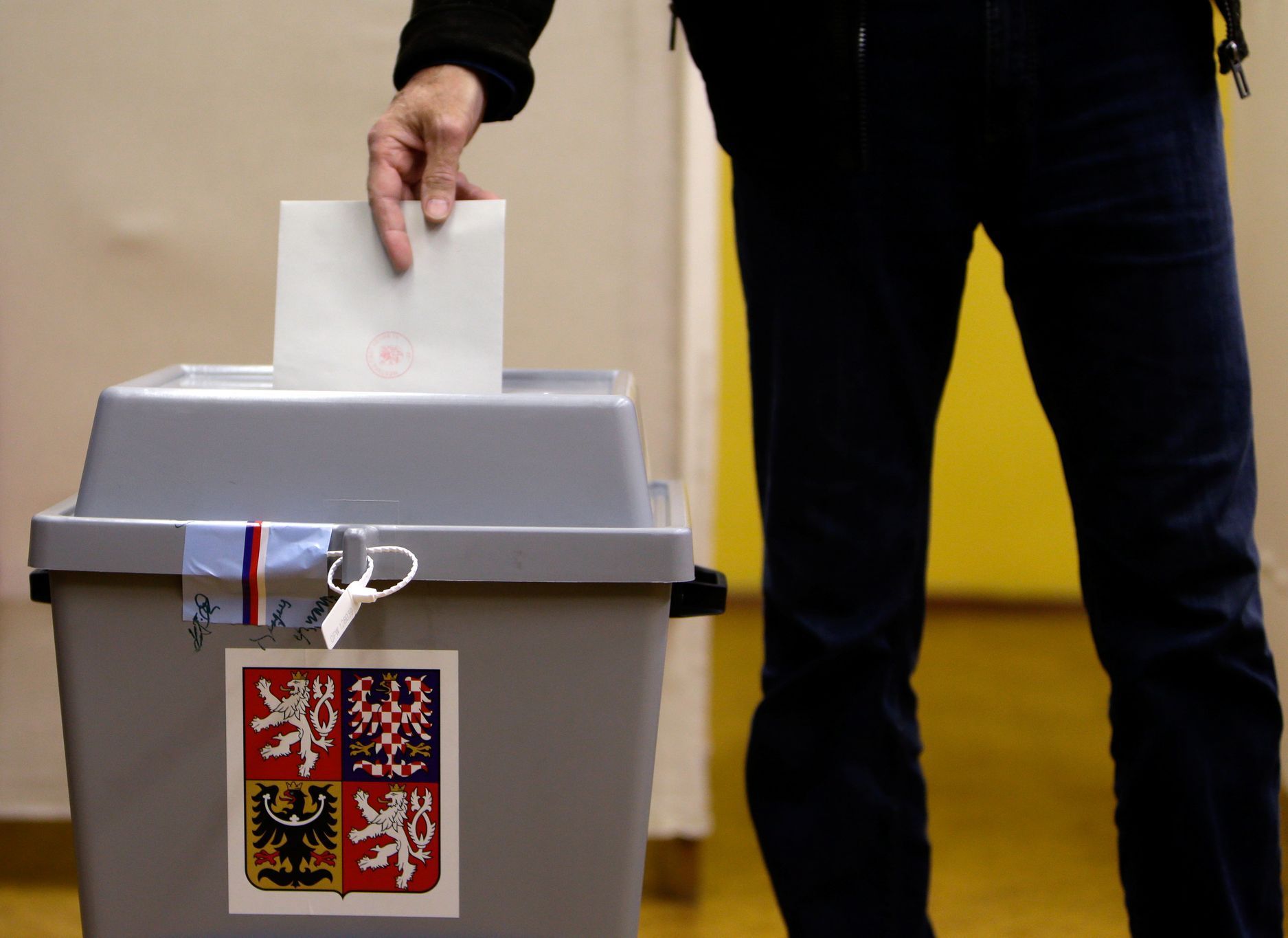 volby volič volí urna hlasovací lístek ilustrační foto
