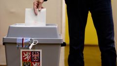volby volič volí urna hlasovací lístek ilustrační foto