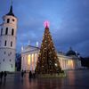 Vánoční strom - Vilnius