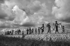 Kevin Frayer (Getty Images): Rohingové prchají před etnickými čistkami v Bangladéši. Série nominovaná na World Press Photo v kategorii Obecné zpravodajství.