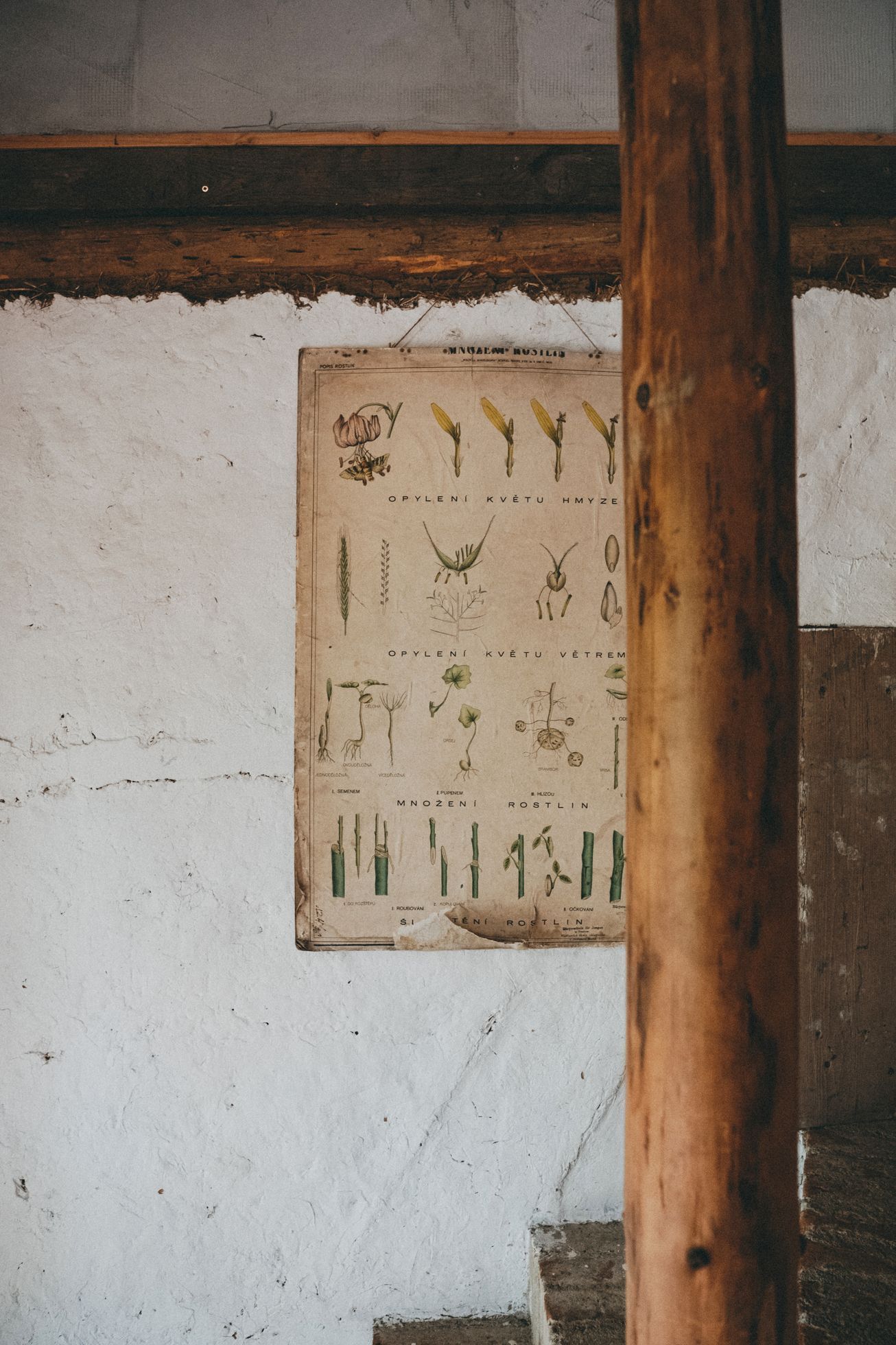 na okraji domov můj, kniha, rodina, bydlení, dům, podnikatel