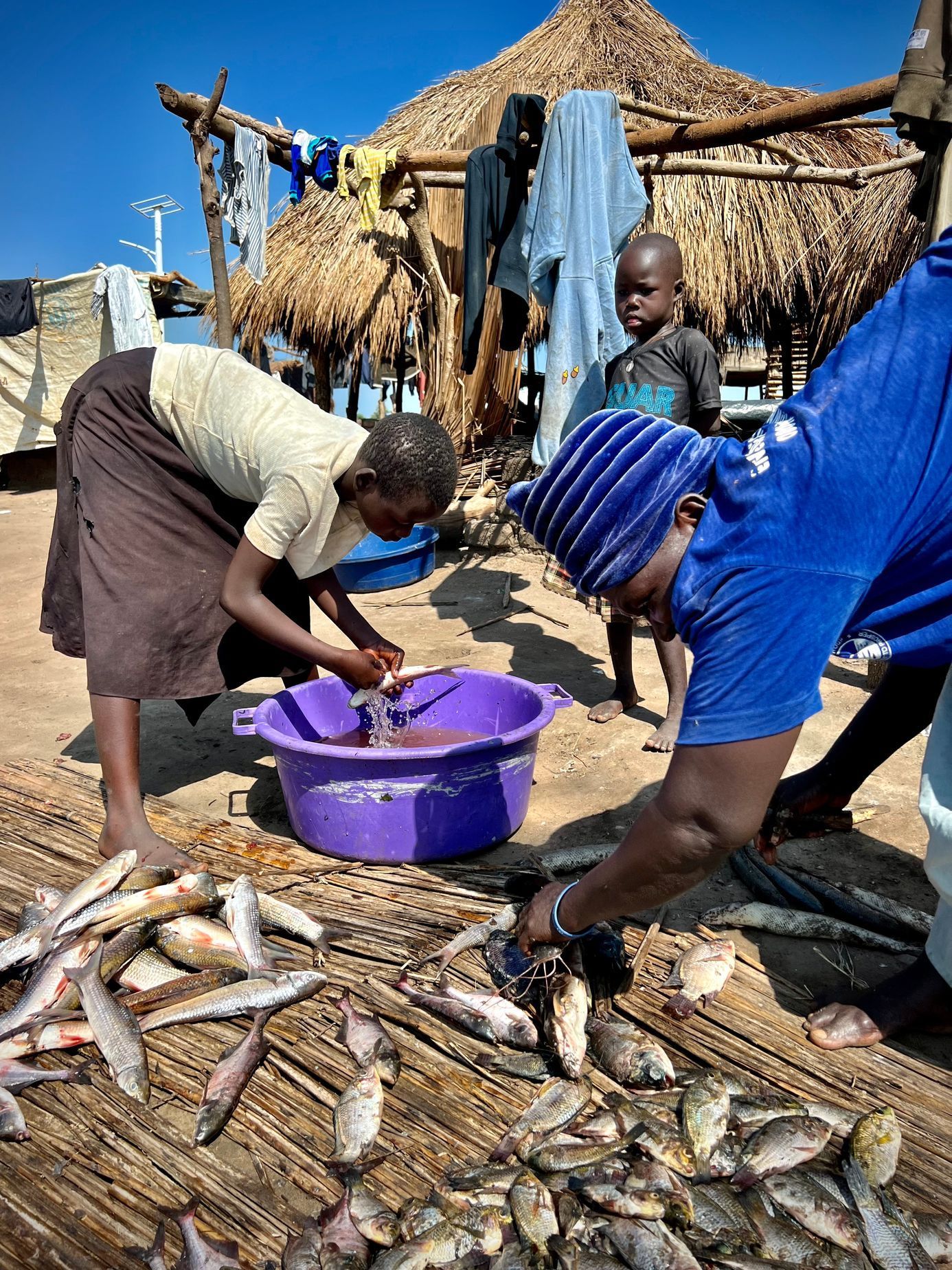 Fotky Tondy Růžka z Afriky