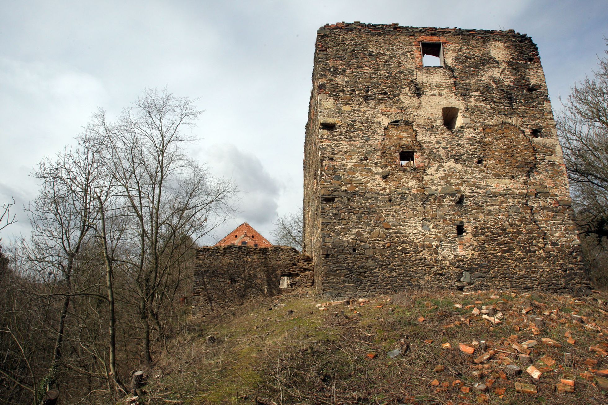 Středočeské památné ruiny