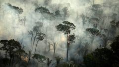 Požáry v brazilské části Amazonie