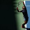 Juan Martin del Potro na US Open 2017