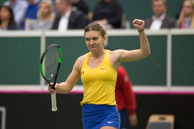 Plíšková vs. Halepová, Fed Cup, Česko vs. Rumunsko