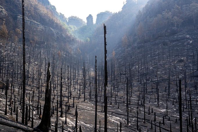 Pravčický důl v úterý 2. srpna 2022