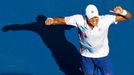 Jo Wilfried Tsonga se raduje z třísetové výhry nad Slovákem Karolem Beckem