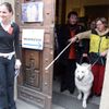 Veletrh nestátních neziskových organizací