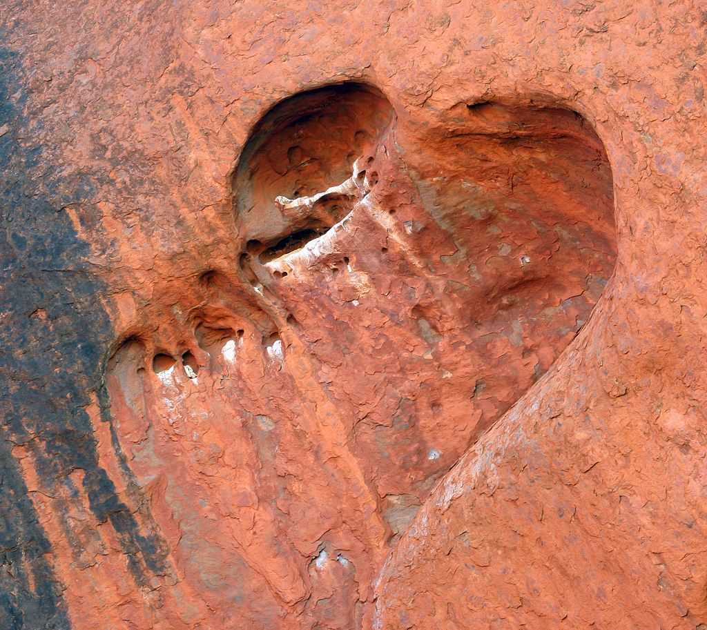 Obrazem: Fascinující podoby symbolu srdce v přírodě