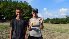 čokoládový diamant