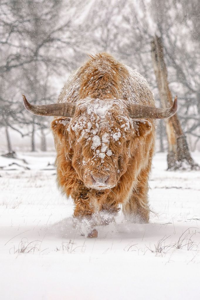 Sony World Photography Awards 2022 - nejlepší krajiny a cestovatelské fotky - Open