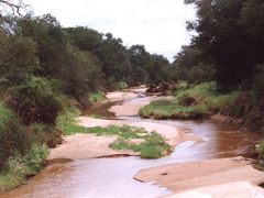 Meandrující potok v Krugerově národním parku vypadá nevinně. Až zaprší, povalí se tudy ohromná masa vody.
