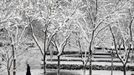 A man walks past trees covered with snow in Beijing, March 20, 2013. REUTERS/Kim Kyung-Hoon (CHINA - Tags: ENVIRONMENT TPX IMAGES OF THE DAY) Published: Bře. 20, 2013, 12:07 dop.