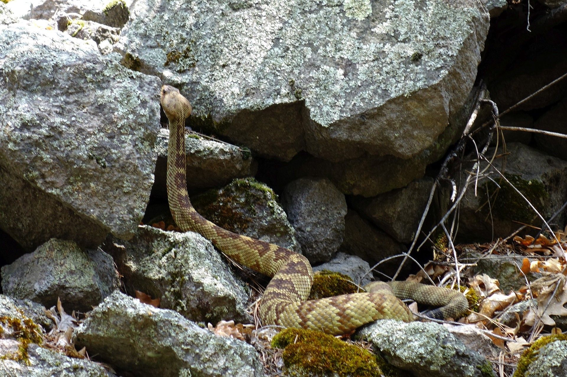 Petr Kosek, cestování, Amerika
