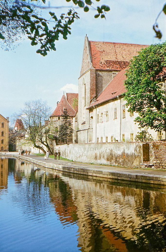 Promenáda kolem slepého ramene Malše je ještě bez bez zábradlí. Květen 1964