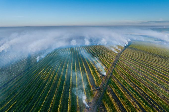 Radek Severa: ohně na vinicích, Jižní Morava, 2024