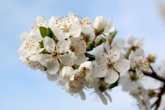 Letní teploty přijdou už v květnu, hlásí meteorologové