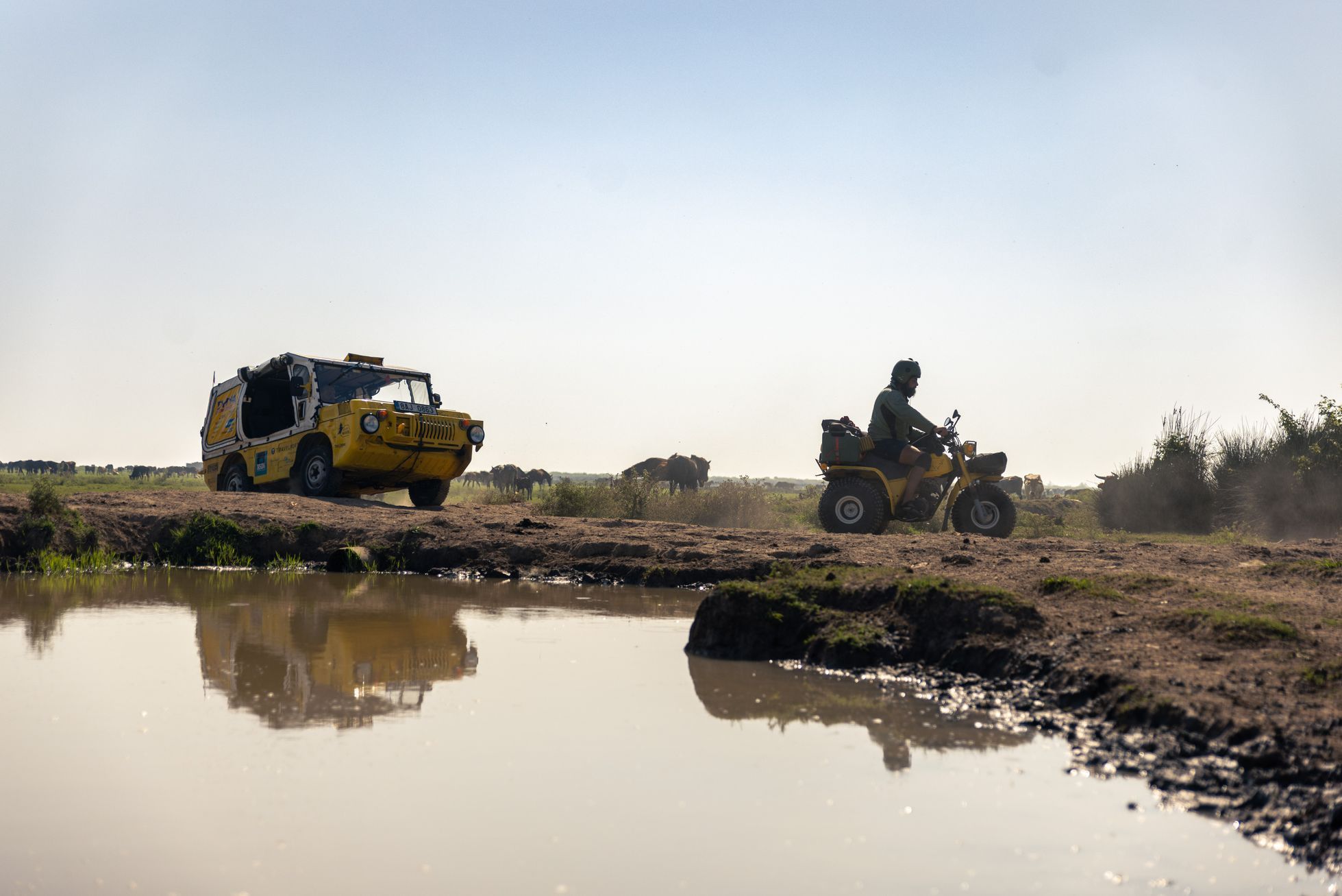 Dan Přibáň, žlutá žába, Irán volume II, příběh 8