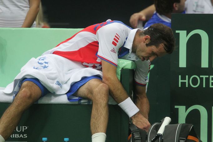 Finále Davis Cupu, zápas Radek Štěpánek - David Ferrer