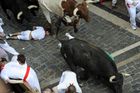 Býci se prohnali Pamplonou, zraněno 13 lidí