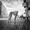 Street Report - nejlepší fotky ze skupiny českých street fotografů