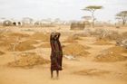 Afrika, sucho, východní Afrika, 2011, klimatická migrace, grafika, klima, změny klimatu, svět, zahraničí