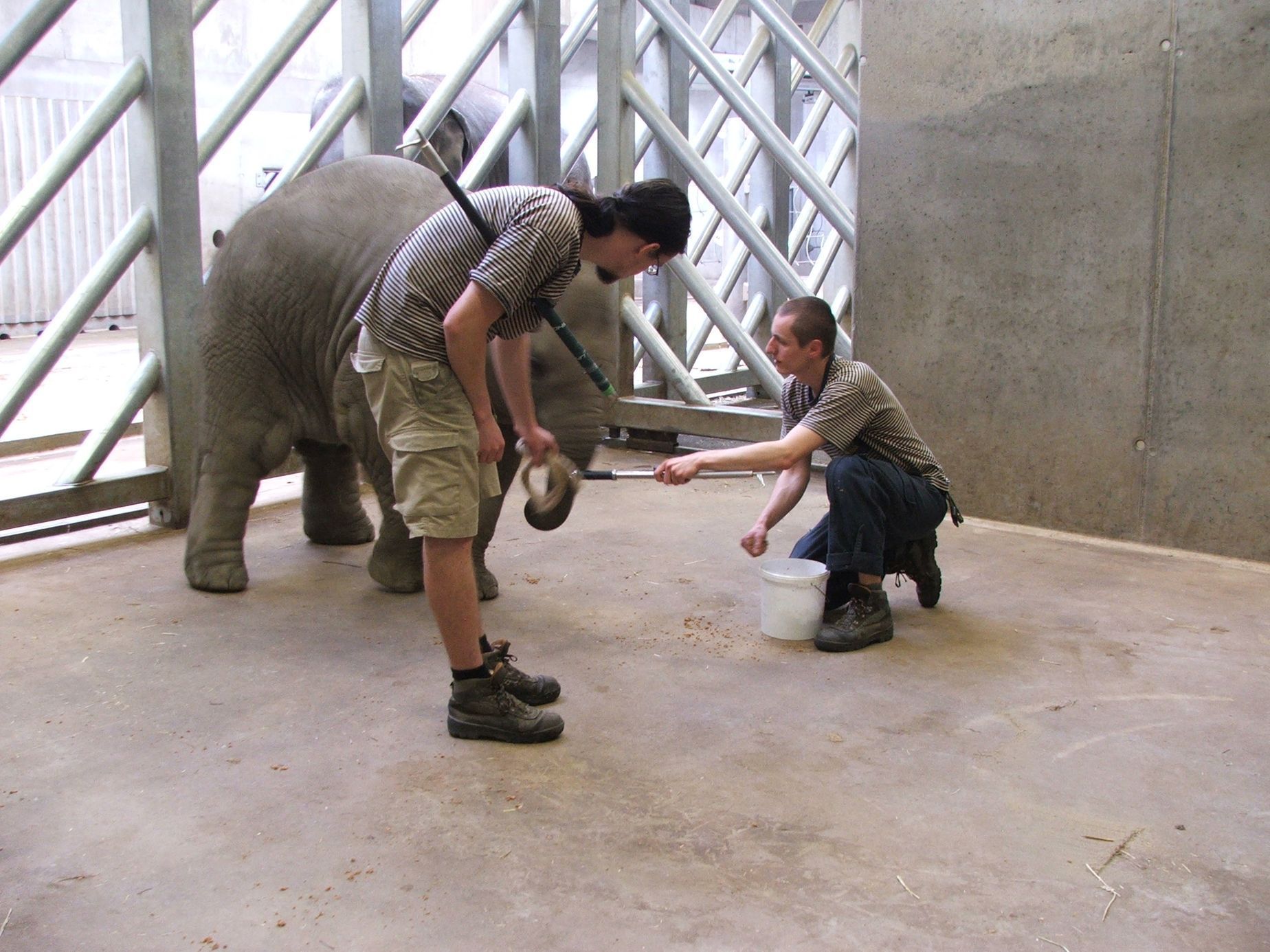 Údolí slonů - ZOO Praha