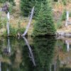 Národní park Šumava 24.9. 2015 - Tk o kůrovci