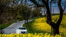 Rallye Šumava Klatovy 2021, Peugeot Rallye Cup: David Soldát, Peugeot 208 R2