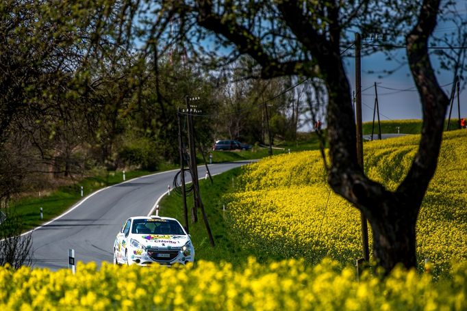 Rallye Šumava Klatovy 2021, Peugeot Rallye Cup: David Soldát, Peugeot 208 R2