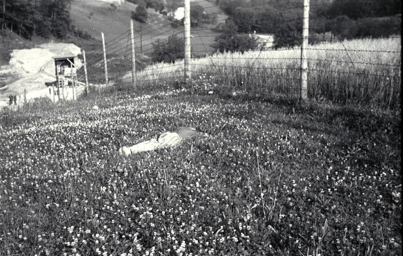 Nepoužívat / Jednorázové užití / Fotogalerie / Před 80. lety se začal stavět koncentrační Mauthausen / Bundesarchiv / 10