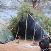 Migrační krize na polsko-běloruských hranicích (2021)