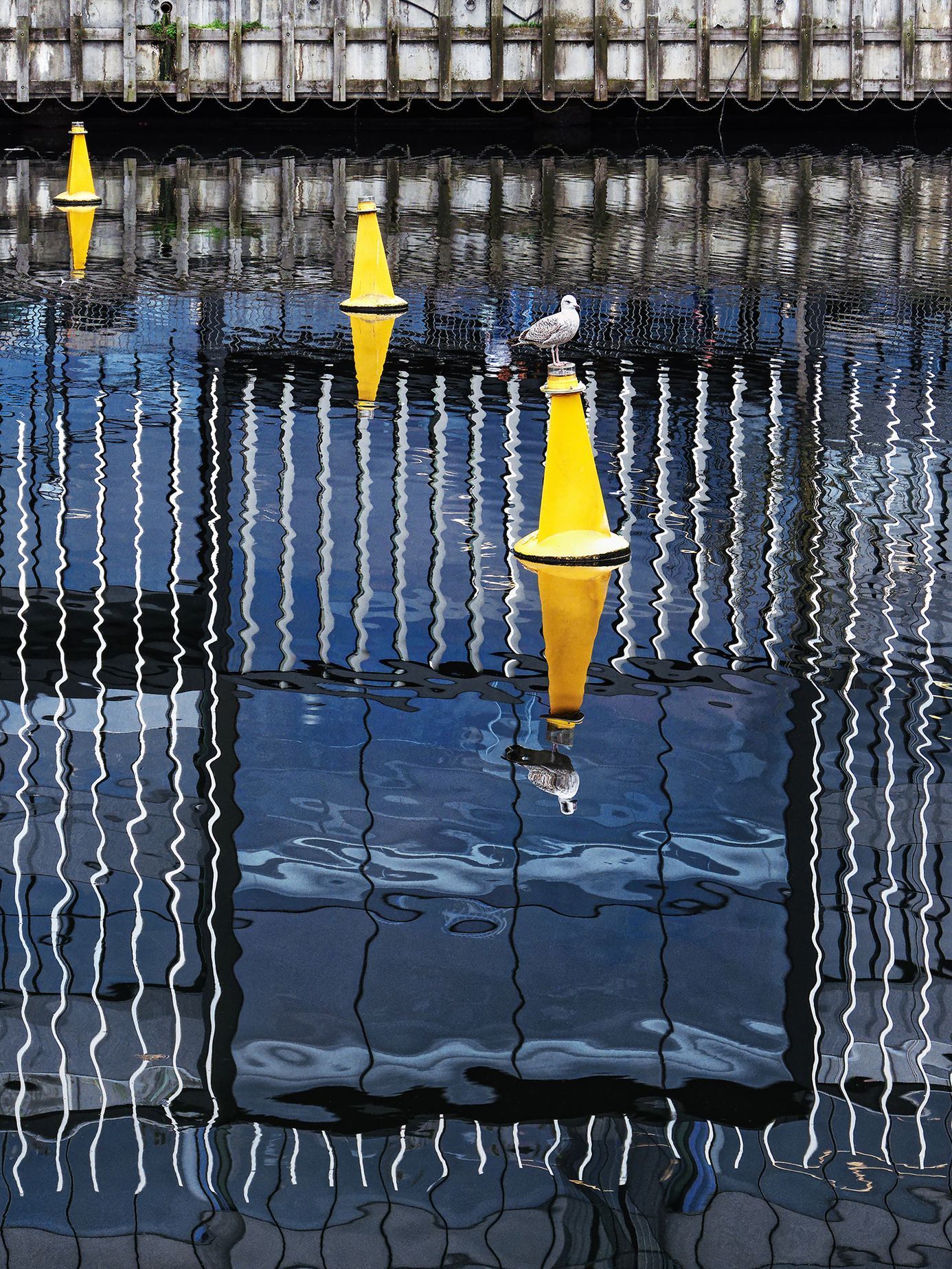 Top Foto 2023: Rok očima Tomáše Vocelky