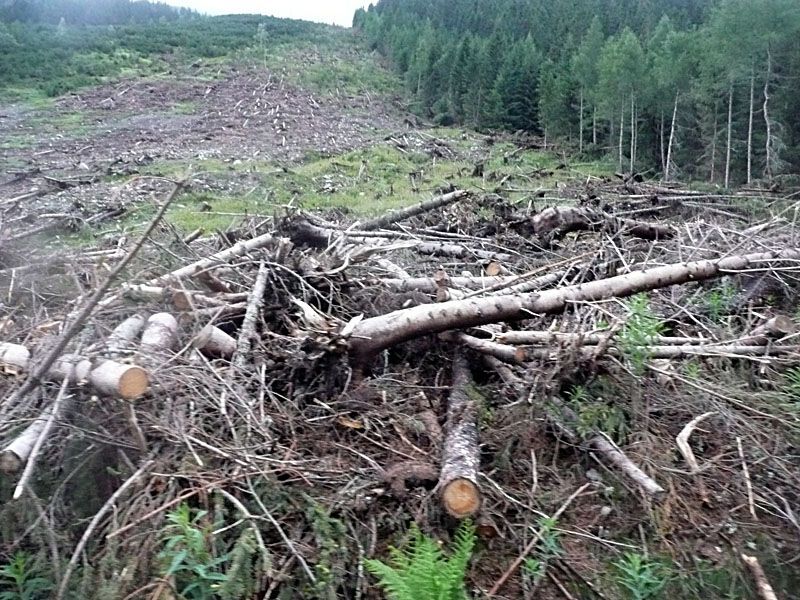 Lavina v Žiarskej dolině