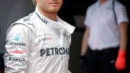 Testů se zúčastnilo i nhěkolik jezdců formule 1, například Nico Rosberg.