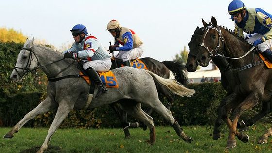 Velkou Pardubickou ovládla opět Sixteen