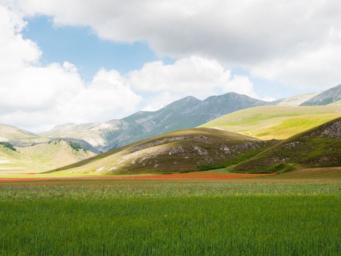 Rozkvetlé louky v okolí Castelluccia di Norcia, Itálie