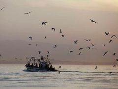 Rybáři namítají, že nová opatření jim vezmou práci (ilustrační foto).
